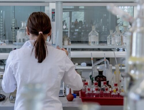 FCT: 400 new contracts awarded to researchers in an investment of 63 million euros